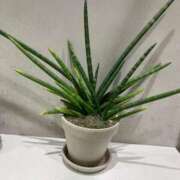 ヒメ日記 2025/09/30 19:01 投稿 ひろせ 川崎・東横人妻城