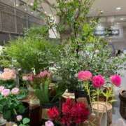 ヒメ日記 2025/10/01 23:29 投稿 ひろせ 川崎・東横人妻城