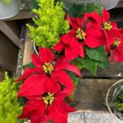 ヒメ日記 2025/11/13 08:49 投稿 ひろせ 川崎・東横人妻城