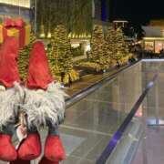 ひろせ 来年は何年？ 川崎・東横人妻城