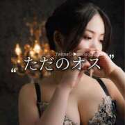 蒼 ただのオス ロイヤルヴィトン(宇都宮)