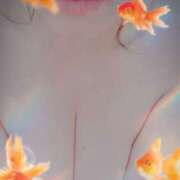 ヒメ日記 2025/08/30 18:40 投稿 福原 さきこ こあくまな熟女たち 西川口店(KOAKUMAグループ)