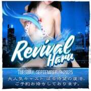 ヒメ日記 2025/08/21 17:54 投稿 はる ごほうびSPA神戸店