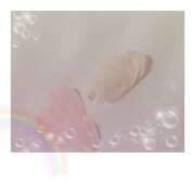 ヒメ日記 2025/08/15 11:30 投稿 白河　いずみ 妻の本音