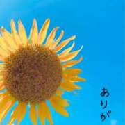 ヒメ日記 2025/09/01 10:00 投稿 白河　いずみ 妻の本音