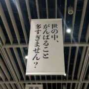 ヒメ日記 2025/10/23 13:20 投稿 白河　いずみ 妻の本音