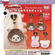 ヒメ日記 2026/02/05 16:41 投稿 白河　いずみ 妻の本音