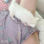 ヒメ日記 2025/08/16 00:34 投稿 ようこ 美熟女倶楽部Hip's 春日部店