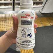 ヒメ日記 2025/08/19 00:24 投稿 ようこ 美熟女倶楽部Hip's 春日部店