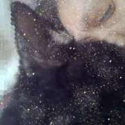 つばき おはようございます。 完熟ばなな新宿