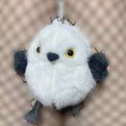 ヒメ日記 2025/10/16 23:48 投稿 のん モアグループ川越人妻花壇