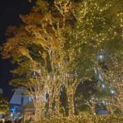 ヒメ日記 2025/11/15 12:30 投稿 のん モアグループ川越人妻花壇