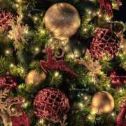 ヒメ日記 2025/12/12 18:18 投稿 のん モアグループ川越人妻花壇