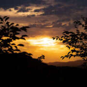 ヒメ日記 2025/12/15 15:46 投稿 のん モアグループ川越人妻花壇