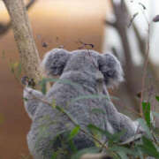 ヒメ日記 2025/12/20 02:00 投稿 のん モアグループ川越人妻花壇