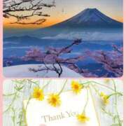 ヒメ日記 2026/01/04 14:20 投稿 ふみこ 越谷熟女デリヘル マダムエプロン