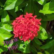 ヒメ日記 2026/03/29 13:30 投稿 ふみこ 越谷熟女デリヘル マダムエプロン