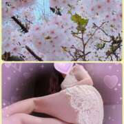 ヒメ日記 2026/04/02 14:10 投稿 ふみこ 越谷熟女デリヘル マダムエプロン