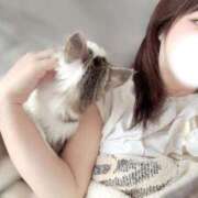 ヒメ日記 2025/11/13 16:06 投稿 藍田えみり（小柄・巨乳・小悪魔） ソープランド ZERO