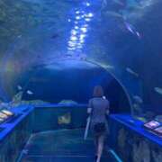 ヒメ日記 2025/08/14 10:06 投稿 るな★SS級・超ロリ坂道研究生 Chloe鶯谷・上野店 S級素人清楚系デリヘル