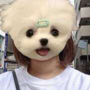 ヒメ日記 2025/12/20 17:53 投稿 るな★SS級・超ロリ坂道研究生 Chloe鶯谷・上野店 S級素人清楚系デリヘル