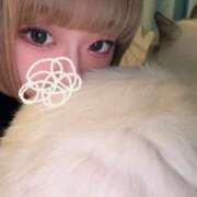 ヒメ日記 2026/02/28 00:42 投稿 るな★SS級・超ロリ坂道研究生 Chloe鶯谷・上野店 S級素人清楚系デリヘル