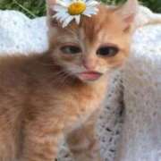 ヒメ日記 2026/06/30 22:14 投稿 るな★SS級・超ロリ坂道研究生 Chloe鶯谷・上野店 S級素人清楚系デリヘル