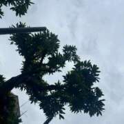 ヒメ日記 2025/09/20 13:13 投稿 みのり 素人妻達☆マイふぇらレディー