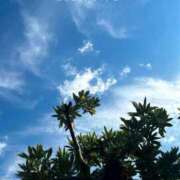 ヒメ日記 2025/09/27 10:23 投稿 みのり 素人妻達☆マイふぇらレディー