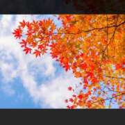 みのり 🍁10/20以降について 素人妻達☆マイふぇらレディー