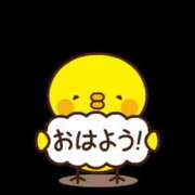 ヒメ日記 2025/08/19 08:59 投稿 たまご スピードエコ日本橋店