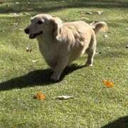 ヒメ日記 2025/12/09 17:22 投稿 ＼勝利／リンリン・ヴィクトリア GOOD-グッド-