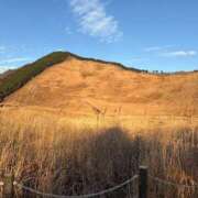 ＼勝利／リンリン・ヴィクトリア 曽爾高原🌾 GOOD-グッド-