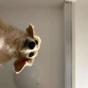 ヒメ日記 2025/12/17 12:39 投稿 ＼勝利／リンリン・ヴィクトリア GOOD-グッド-