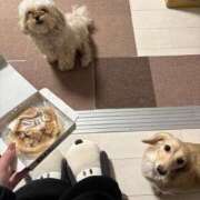 ＼勝利／リンリン・ヴィクトリア おやすみです😭 GOOD-グッド-