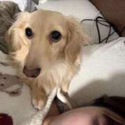 ヒメ日記 2026/03/29 20:08 投稿 ＼勝利／リンリン・ヴィクトリア GOOD-グッド-