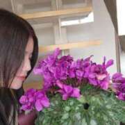 青山せり 彩り シャトーペトラ