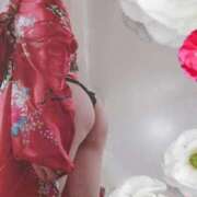 ヒメ日記 2026/01/20 11:04 投稿 青山せり シャトーペトラ