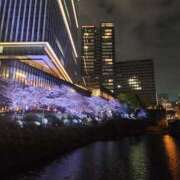 ヒメ日記 2026/03/28 20:48 投稿 青山せり シャトーペトラ