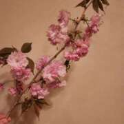 ヒメ日記 2026/04/13 08:17 投稿 青山せり シャトーペトラ