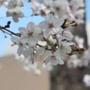 有栖ふぶき 花金😌🫶🏻 ブルーバード