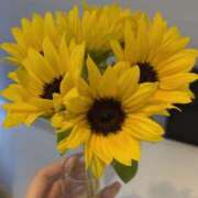 ヒメ日記 2025/08/04 12:23 投稿 ゆめあ 制服天国（ユメオト）