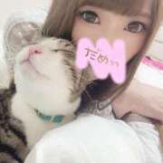 セリカ【理性を砕く支配】 快感のモールス信号🚥 秘書コレクション 高松店