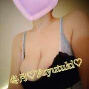 ヒメ日記 2025/08/27 17:52 投稿 冬月 Anemone（アネモネ）