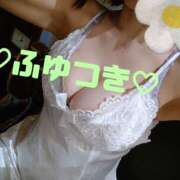 ヒメ日記 2025/11/29 01:25 投稿 冬月 Anemone（アネモネ）