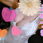 ヒメ日記 2025/12/05 14:39 投稿 冬月 Anemone（アネモネ）