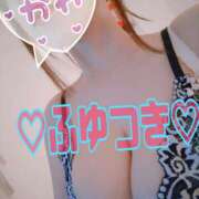 ヒメ日記 2026/02/06 16:15 投稿 冬月 Anemone（アネモネ）