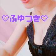 ヒメ日記 2026/02/17 14:39 投稿 冬月 Anemone（アネモネ）