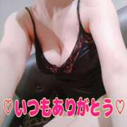 ヒメ日記 2026/03/22 10:44 投稿 冬月 Anemone（アネモネ）