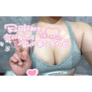 クマノミ(隈魚) はじめまして 女の子市場　川越店